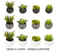 Plante grasse artificielle - NO NAME - 6cm - Gris