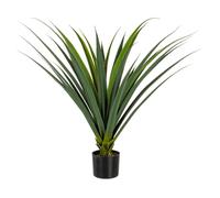 Plante Ruscaceae C-Pot 28Leaves H90Cm