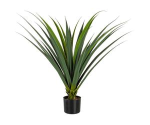 Plante Ruscaceae C-Pot 28Leaves H90Cm