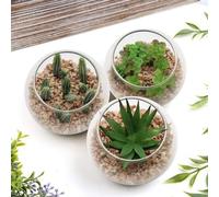 Plante succulente artificielle, plante d'intérieur, décoration pour le salon et la salle de bains, 8 cm de haut, dans un pot en verre, lot de 3