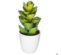 Plante succulente & cactus H18cm - Atmosphera Créateur d'intérieur