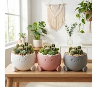 Plante succulente souriante mignonne en pot, mini pot de cactus d'intérieur/extérieur convenant pour le bureau, le rebord de fenêtre, la décoration de la maison et du bureau, blanc/rose/gris 8,8 x 8,8