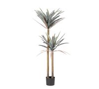 Plante Yucca C-Pot 68Les Feuilles H128