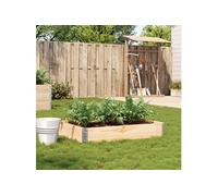 vidaXL Jardinière 120x80 cm pin massif