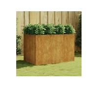 Plantenbak verhoogd 120x80x80 cm cortenstaal824538