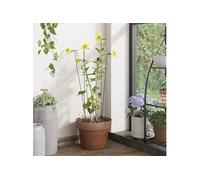 Plantenstaken 20 st 40 cm staal donkergroen319362
