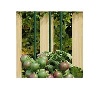 Plantenstaken 30 st 180 cm staal groen319371