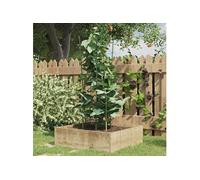 Plantensteunen 5 st met 3 ringen 75 cm staal groen319374