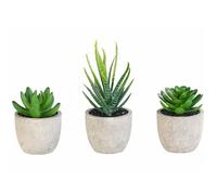 Carlo Milano 3 succulentes artificielles en pots 8 / 9 / 15 cm