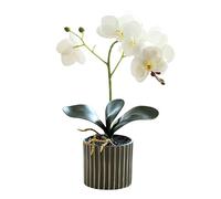 Plantes Artificielles Décoratives Flore Artificielle 12,6 Pouces De Haut Plante D'orchidée Artificielle Réaliste dans Un Pot Bonsaï Décoratif Real Touch Fleurs Artificielles dans Un Vase Plantes