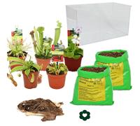 Plantes carnivores - aquarium à monter soi-même - grand