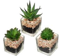 Plantes d'intérieur artificielles, plantes décoratives d'intérieur, lot de 3, 10,5 cm de haut, dans des pots en verre