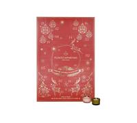 Plantes & Parfums Calendrier de l'Avent Noël 2025
