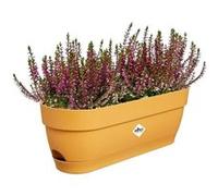 Elho Balconnière ovale Vibia Campana – Plastique avec réservoir – 50 x 18,2 H 17 cm – Jaune miel