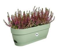 Elho – Planteur pour balcon Vibia Campana – Plastique, réservoir – Ø49 x H17 cm – Vert pistache