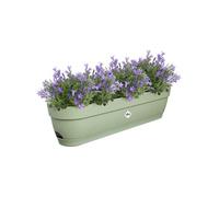 Elho Vibia Campana Balconnière 70 - Planteur pour Balcon - Ø 69.0 x H 17.0 cm - Vert/Vert Pistache