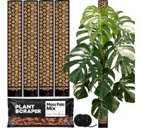 PlantScraper tuteur en sphaigne XL pour Monstera - Lot de 4 Tuteurs 63 x 9,5 cm Extensibles - Support avec Velcro et substrat spécial en Mousse pour aroïdes - Idéal pour Plantes grimpantes