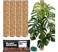 PlantScraper tuteur en sphaigne XL pour Monstera - Lot de 4 Tuteurs 63 x 9,5 cm Extensibles - Support avec Velcro et substrat spécial en Mousse pour aroïdes - Idéal pour Plantes grimpantes