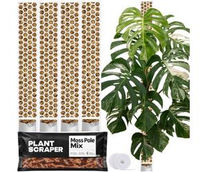 PlantScraper tuteur en sphaigne XL pour Monstera - Lot de 4 Tuteurs 63 x 9,5 cm Extensibles - Support avec Velcro et substrat spécial en Mousse pour aroïdes - Idéal pour Plantes grimpantes