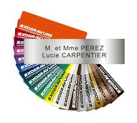 Plaque Boîte aux Lettres Personnalisable - 10x2,5 cm - 1 à 3 Lignes - Nom sur Etiquette Gravée pour Maison Bureau Sonette - PVC Résistant Adhésif - Alu Brossé