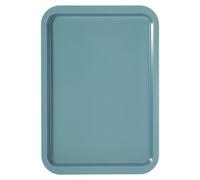 Plaque de cuisson de 43,2 cm, antiadhésive, en acier au carbone