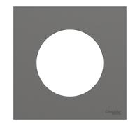 Plaque de finition en saillie 1 poste Schneider Electric Odace gris basalte