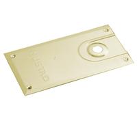 Plaque de pivot 701.02 pour série 86N finition laiton poli MUSTAD 3050705109