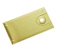 Plaque de pivot grand modèle 710.02GR pour série 8610 laiton poli - - 3050705080