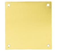Plaque de propreté 300 x 90 mm laiton poli PF épaisseur 0,8 mm HERACLES 19-0823-9920