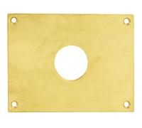 Plaque de propreté trou rond 24 laiton poli 160 x 90 mm HERACLES 251952-TR24