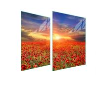 Plaque De Protection Des Vitres Pour Herd 70X52 Maki