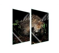 PLAQUE DE PROTECTION EN VERRE POUR CUISINE 2x35x52 HÉRISSON
