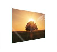 PLAQUE DE PROTECTION EN VERRE POUR POÊLE 70x52 ARBRE