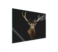 PLAQUE DE PROTECTION EN VERRE POUR POÊLE 70x52 CERF