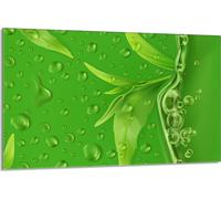 Plaque de recouvrement pour cuisinière 80x52cm en 1 partie Couverture de plaque vitrocéramique Protection contre les éclaboussures, feuillage vert