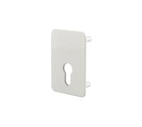 Plaque de renfort cylindre profilé pour verrou Capital fixation par vis époxy blanc - THIRARD