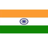 Plaque d'immatriculation avec Photo de Drapeau de l'Inde Personnalisable sur Cette Plaque d'immatriculation 6x12