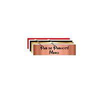 Plaque Gravée Pour Boîte Aux Lettres Pas de Publicité Merci - Dimensions 10 x 2,5 Cm - Aspect Cuivre Brossé avec Écriture Disney Noir