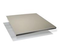 Plaque Inox Planche à Découper et à Pétrir - 60x50cm Acier Inoxydable Professionnelle