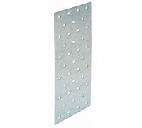 Plaque perforée pour liaison de charpente - par 25 - NP20/100/160 SIMPSON Strong-Tie