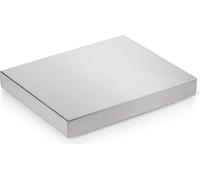 Plaque réfrigérante, CNS, GN 1/1 - GN 1/2 au choix, 4 cm de hauteur : Plaque de maintien au froid GN 1/2, Acier au nickel-chrome Variante : Plaque de maintien au froid GN 1/2
