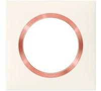 Plaque simple Dooxie, LEGRAND, blanc rose Blanc G