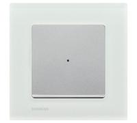 Plaque simple VERRE BLANC MAT + Va & vient Témoin SILVER DELTA MEGA