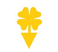 Plaques Engluées Jaunes Épaisses Trèfle à Quatre Feuilles - Lot de 100, Piège à Insectes V