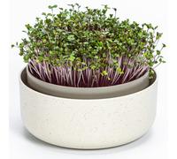 Plastia Urbalive Germoir pour Graines à Germer et Micro-pousses - Microgreens Coupelle de Germination - Design Bac de Germination en Plastique, 16 cm, Beige