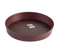 Plastiken Plateau pour jardinière - Bronze