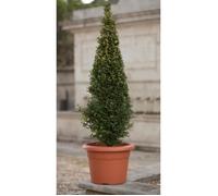 PLASTIKEN Pot à fleurs - Ø 40 cm rond - Terracotta