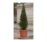 Plastiken pot a fleurs - ø 46 cm rond - terracotta