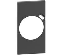 Plastron de finition Living Now pour prise Surface avec chargeur Type-C - noir (BTKG62)