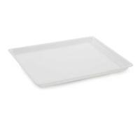 Plat en Plexiglas rectangulaire avec coins arrondis Blanc 380X300X17mm Matériel CHR Pro 1